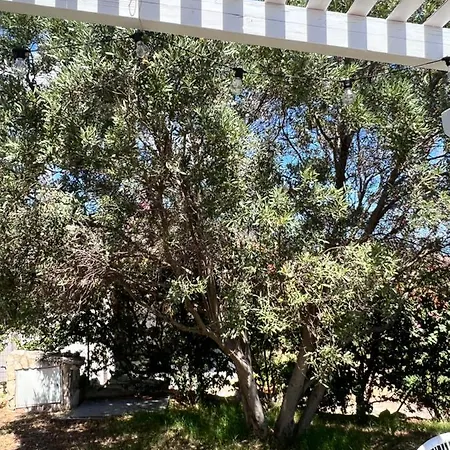 Elicis * Pinus Village