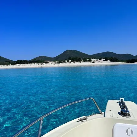 Elicis * Pinus Village