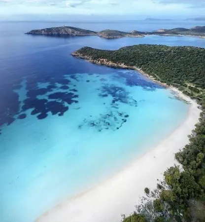 Elicis Pinus Village