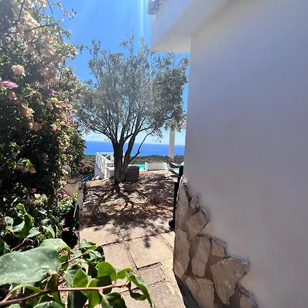 Elicis * Pinus Village